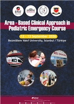 Area-Based Clinical Approach in Pediatric Emergency Course